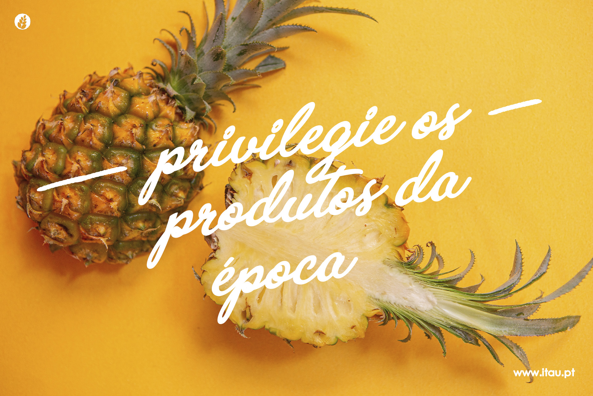 Privilegie os produtos da época – Ananás dos Açores