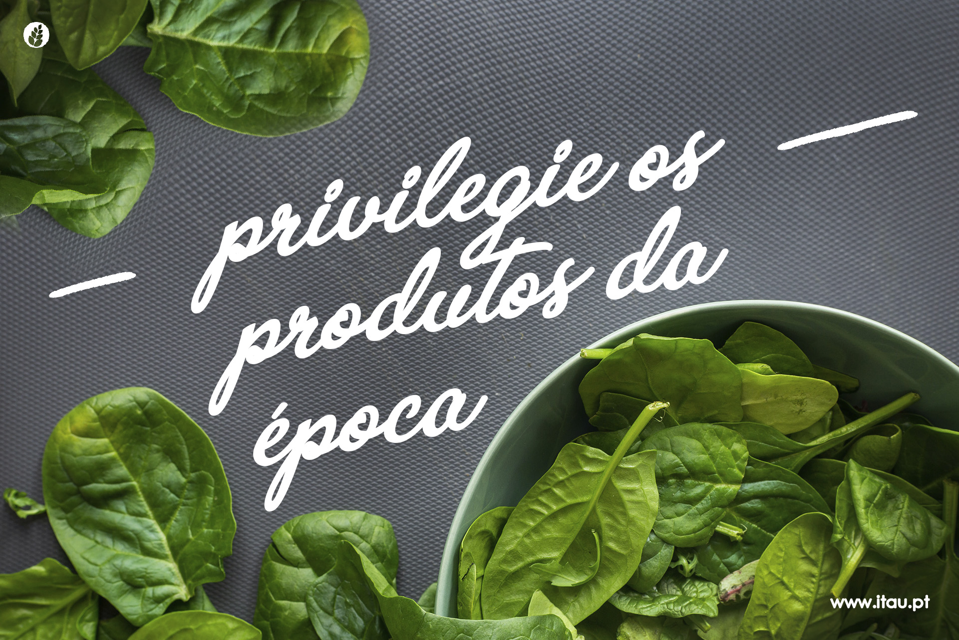 Privilegie os produtos da época – Espinafre