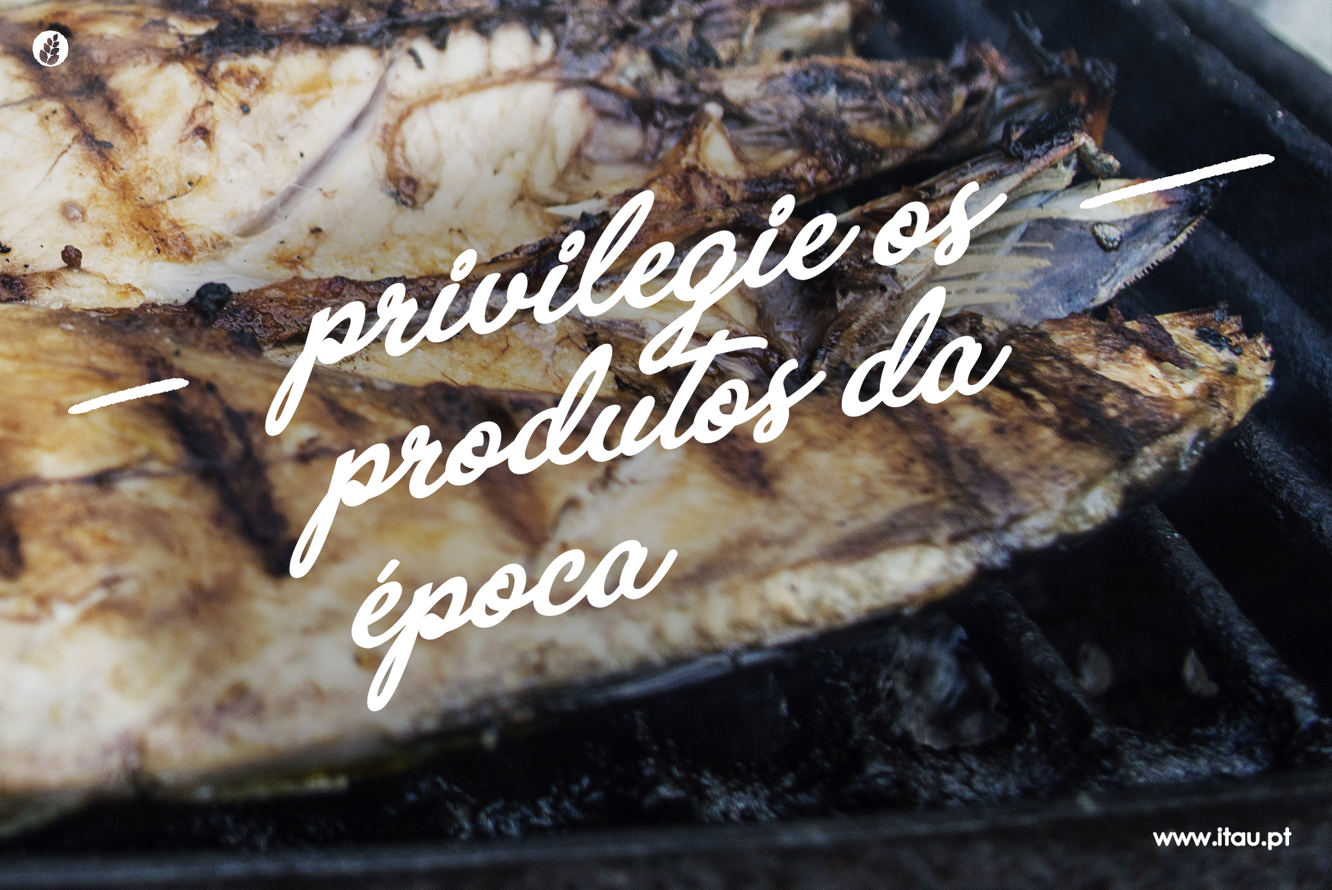 Privilegie os produtos da época – Cavala