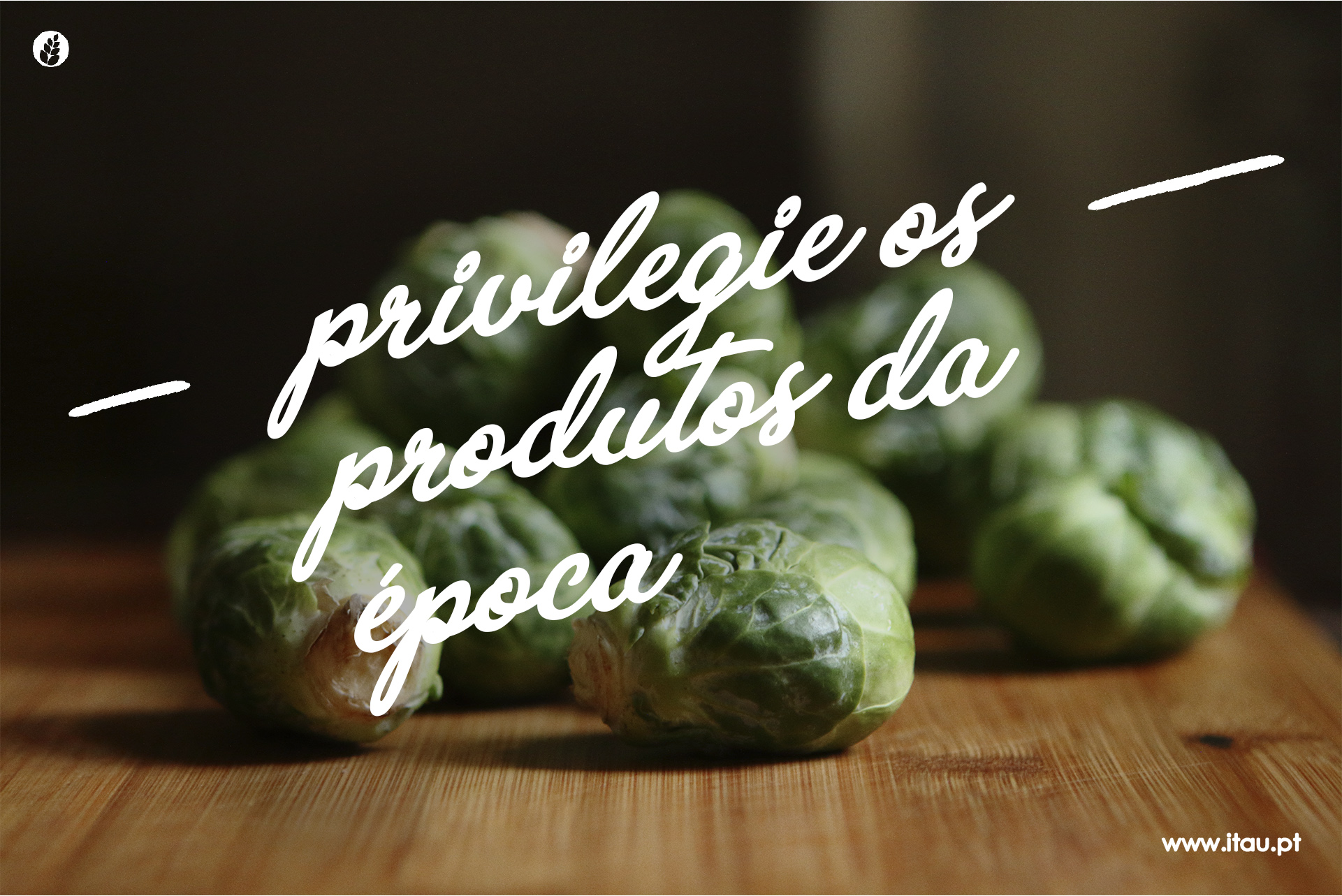 Privilegie os produtos da época – Couve de Bruxelas