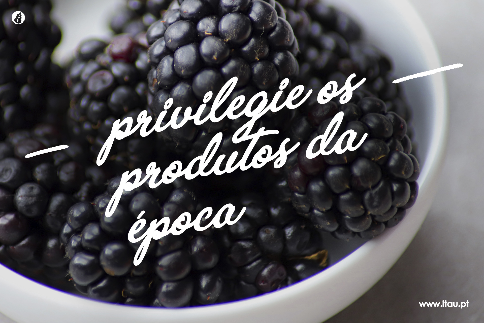 Privilegie os produtos da época – Amora