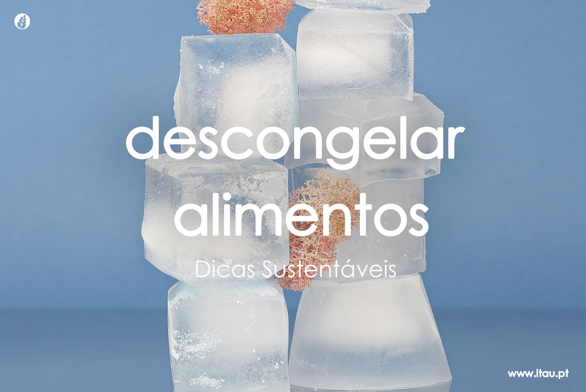 Descongelar alimentos