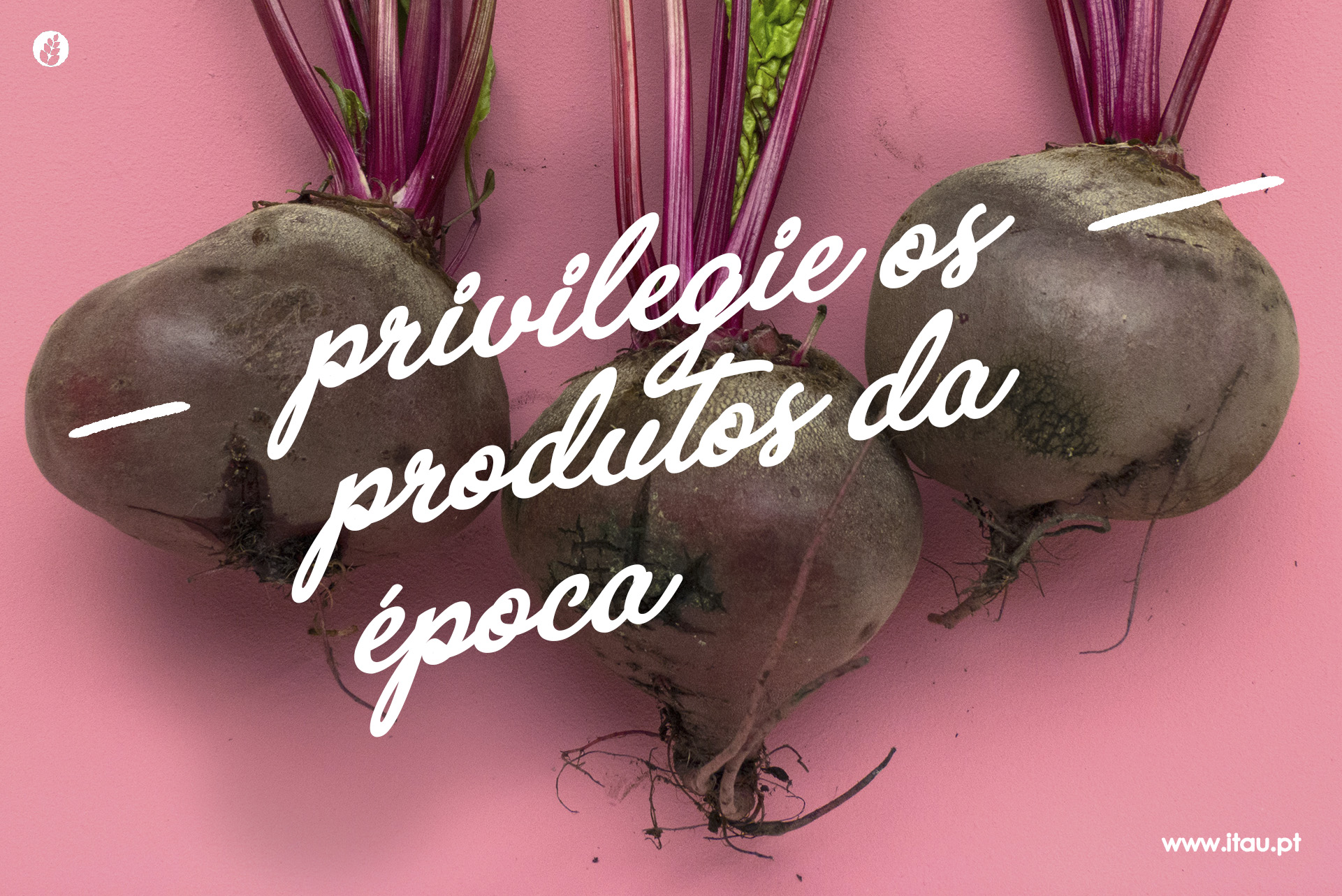 Privilegie os produtos da época – Nabo