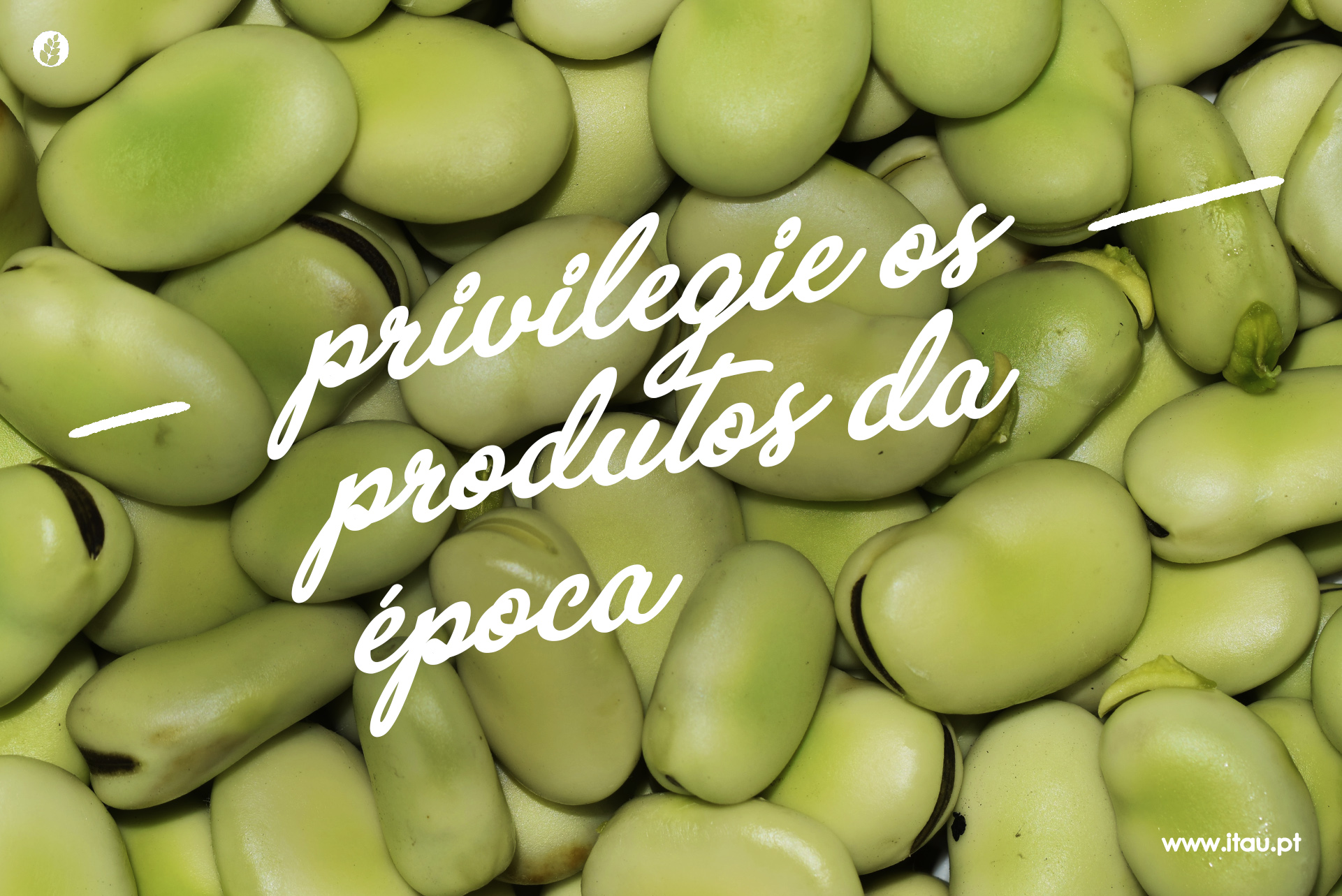 Privilegie os produtos da época – Fava