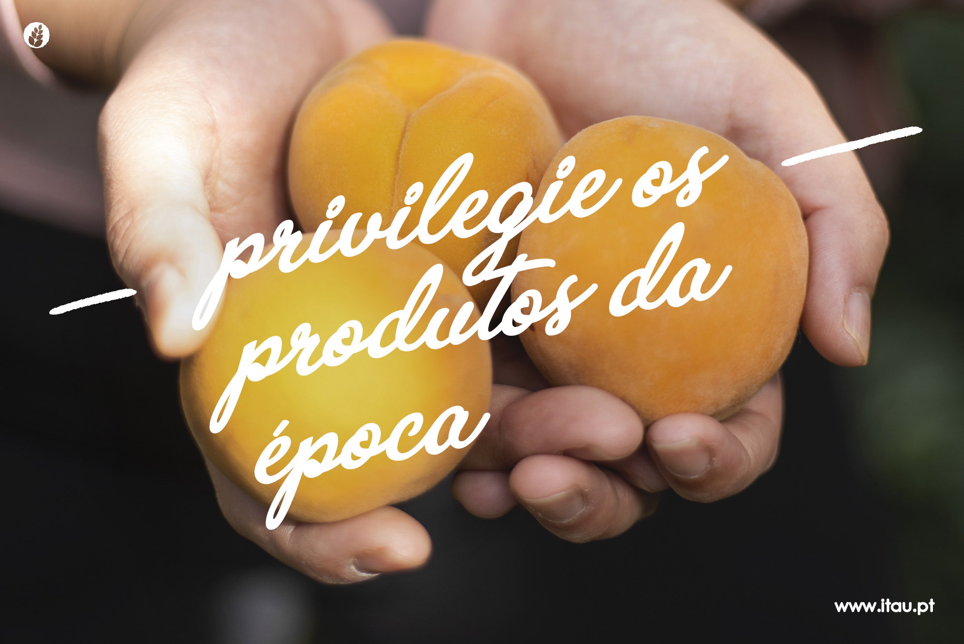 Privilegie os produtos da época – Nêspera