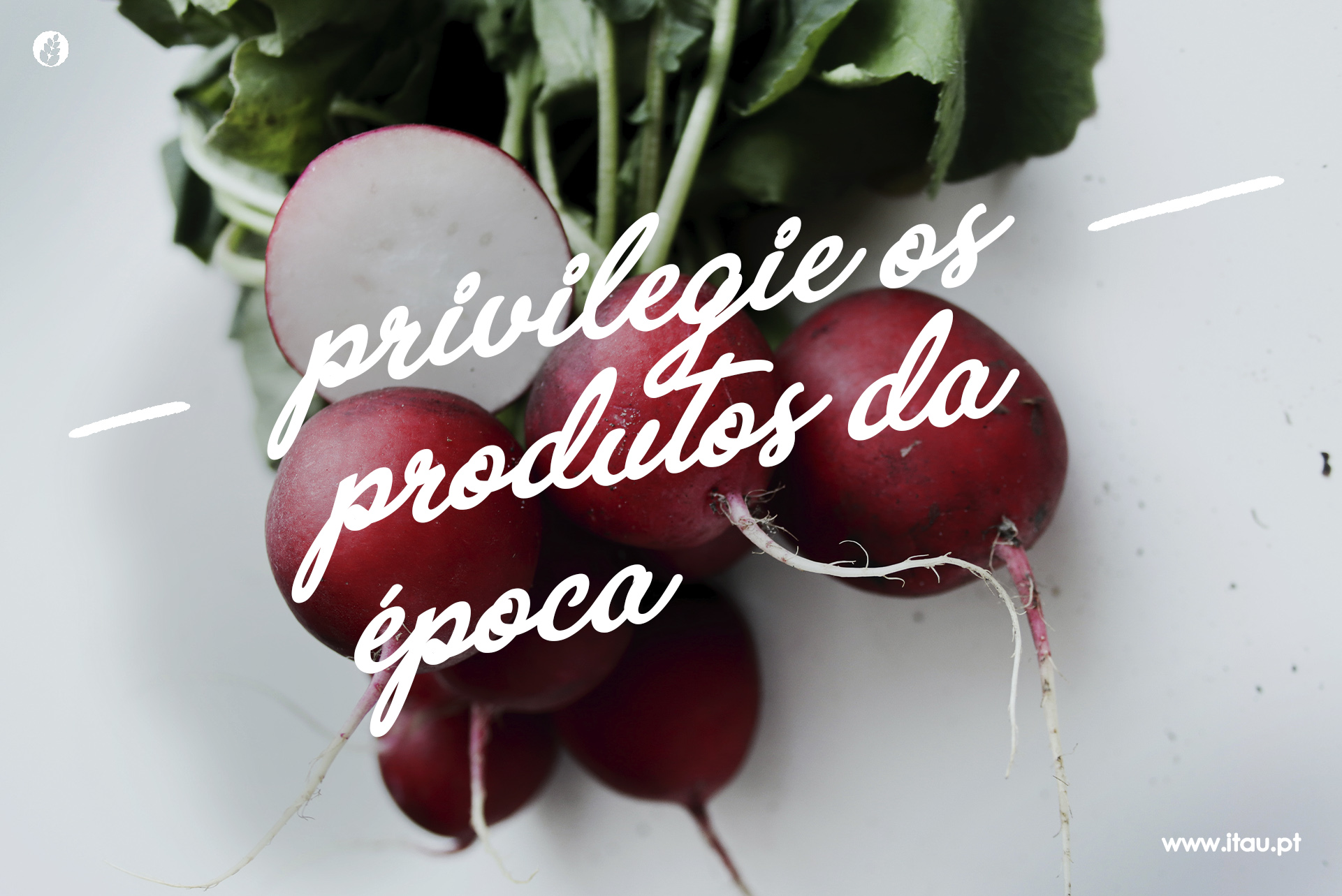 Privilegie os produtos da época – Rabanete