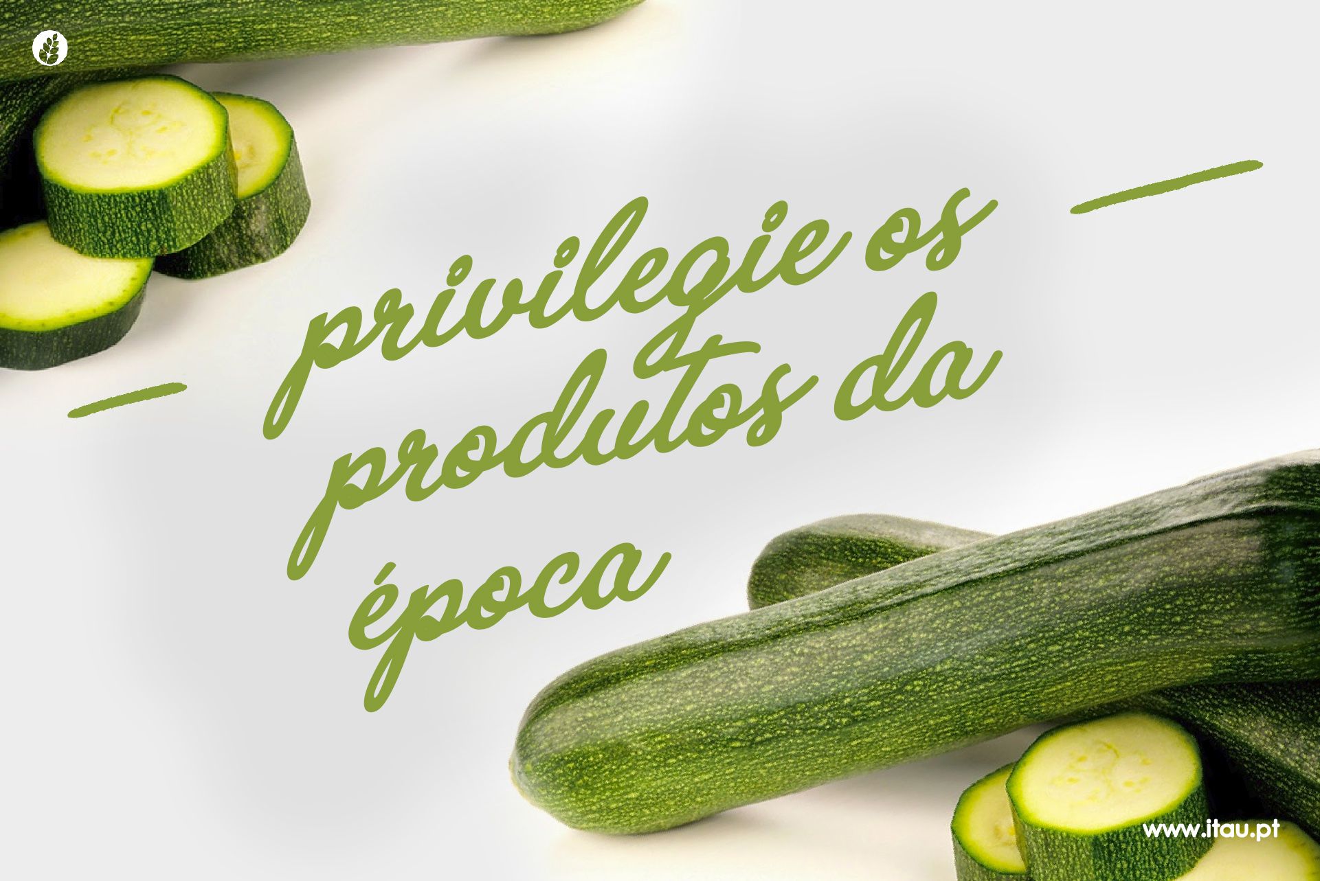 Privilegie os produtos da época – Curgete