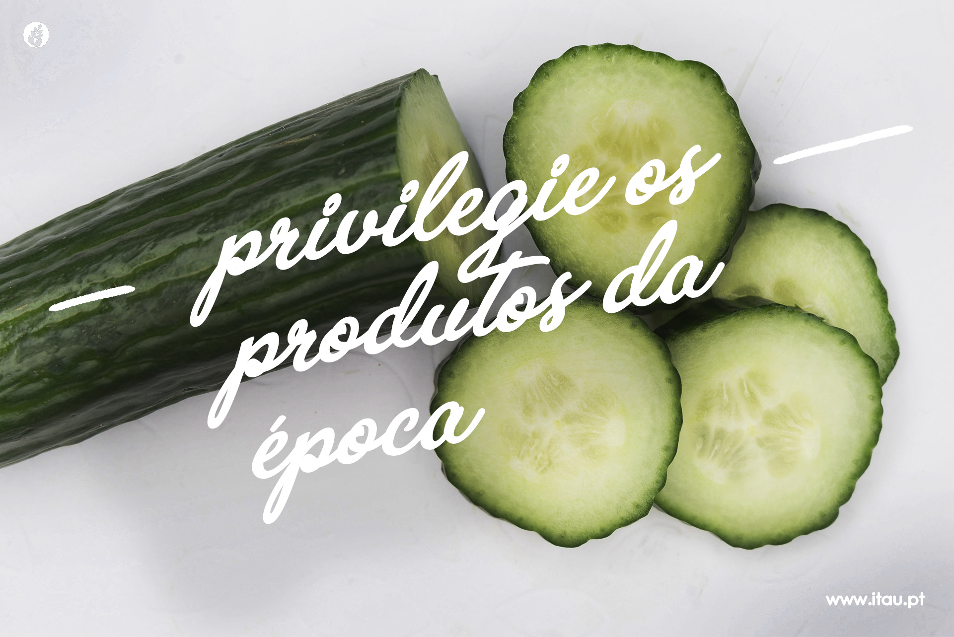 Privilegie os produtos da época – Pepino