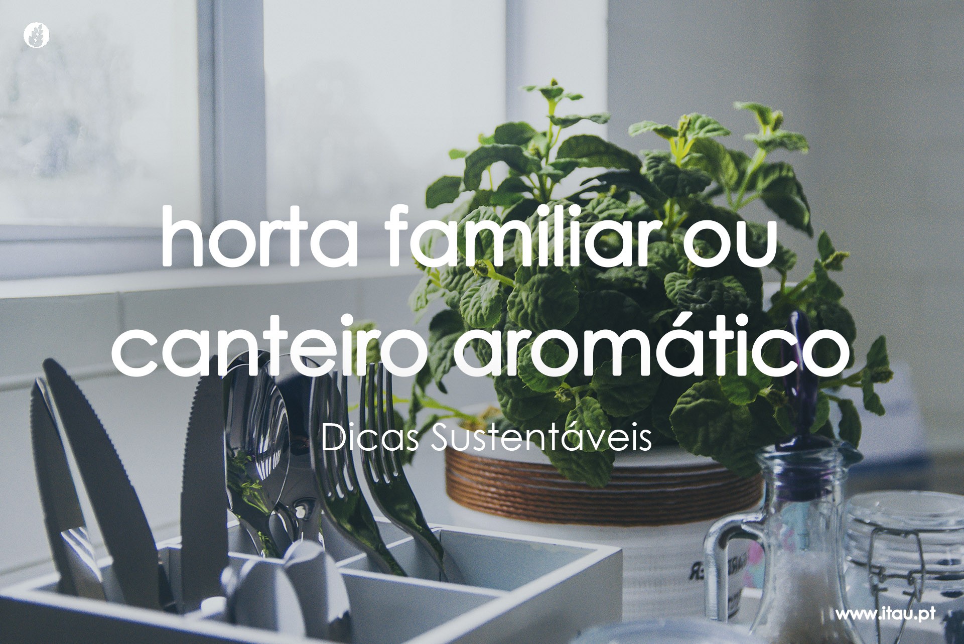 Horta familiar ou canteiro aromático