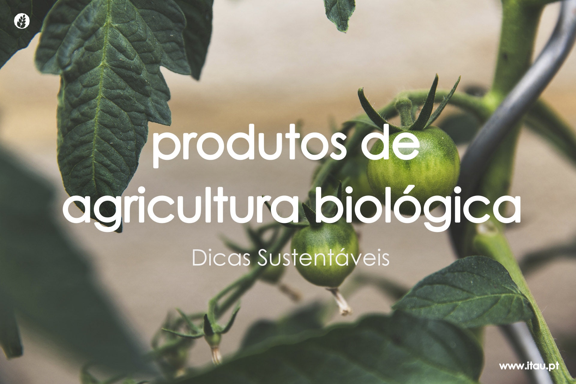 Produtos de agricultura biológica