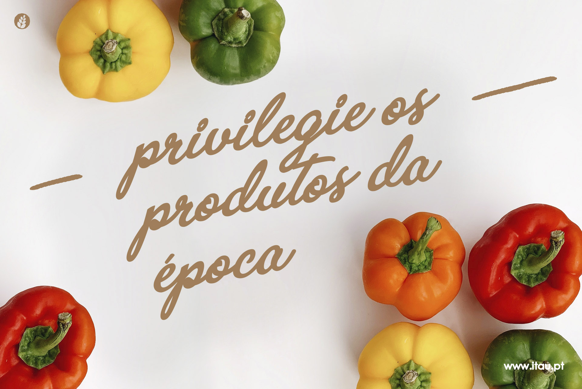 Privilegie os produtos da época – Pimento