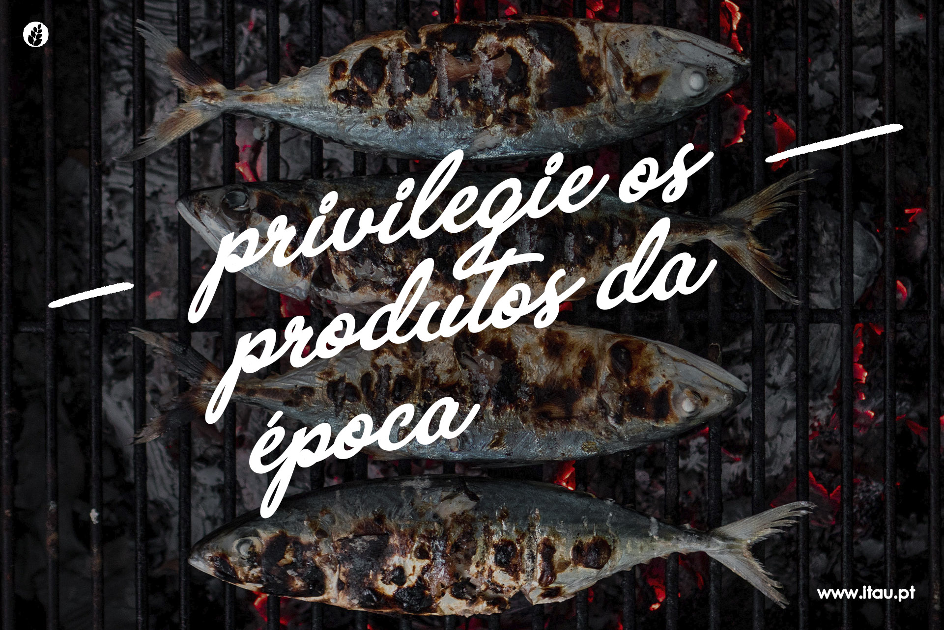 Privilegie os produtos da época – Sardinha