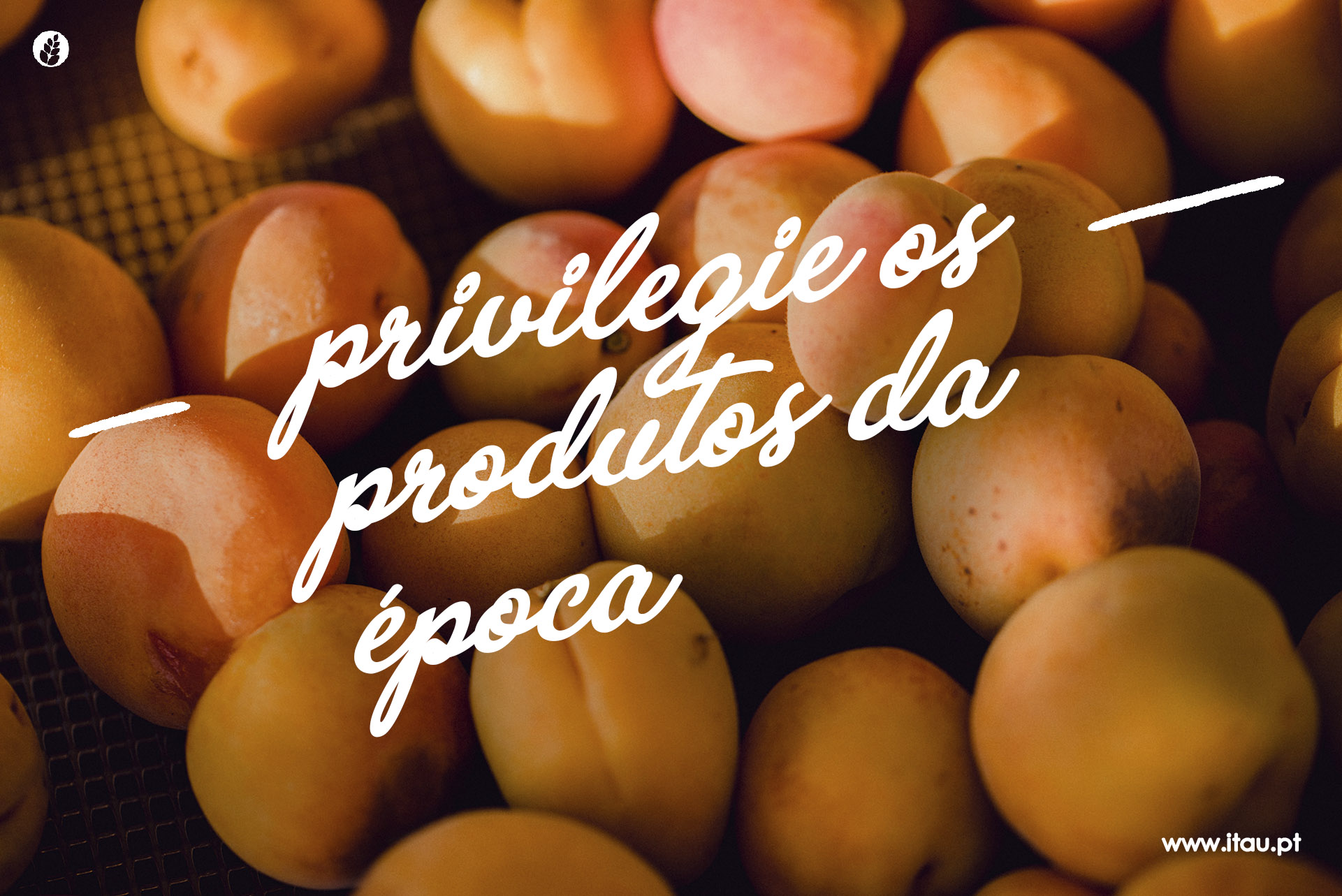 Privilegie os produtos da época – Alperce