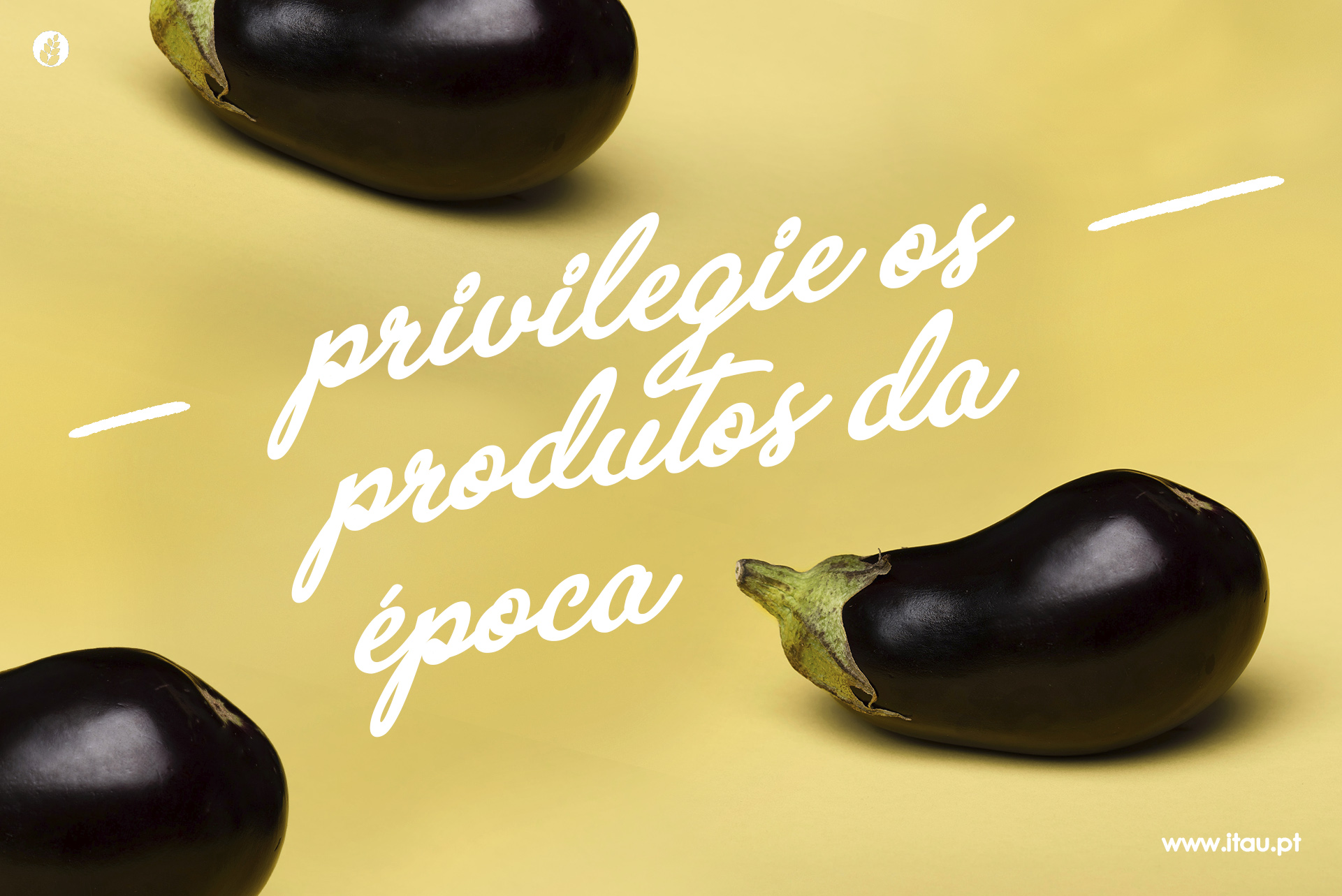 Privilegie os produtos da época – Beringela