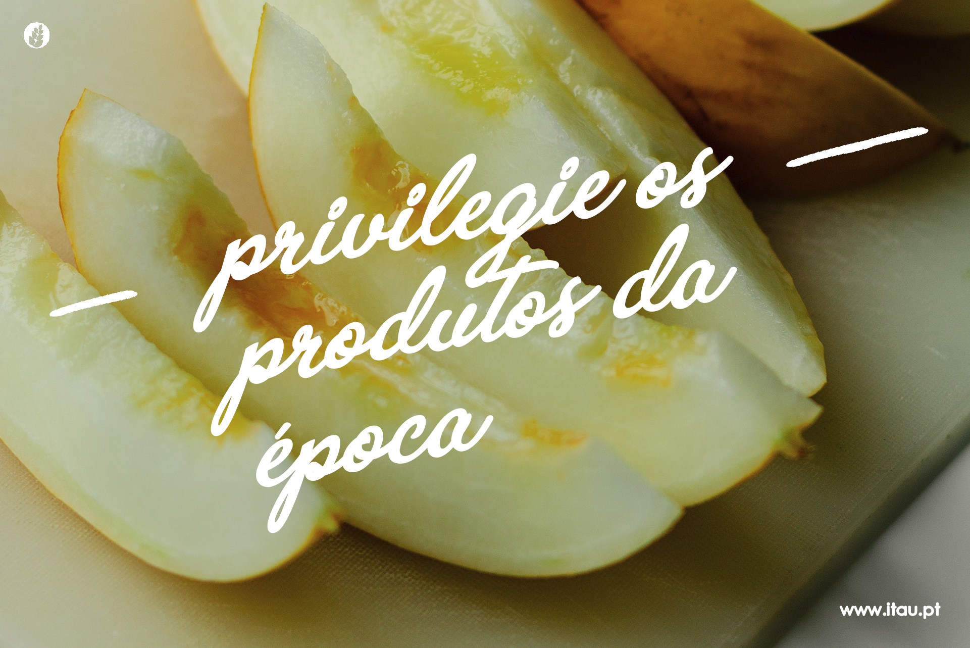 Privilegie os produtos da época – Melão