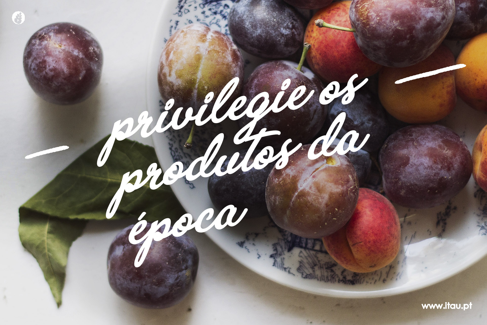 Privilegie os produtos da época – Ameixa