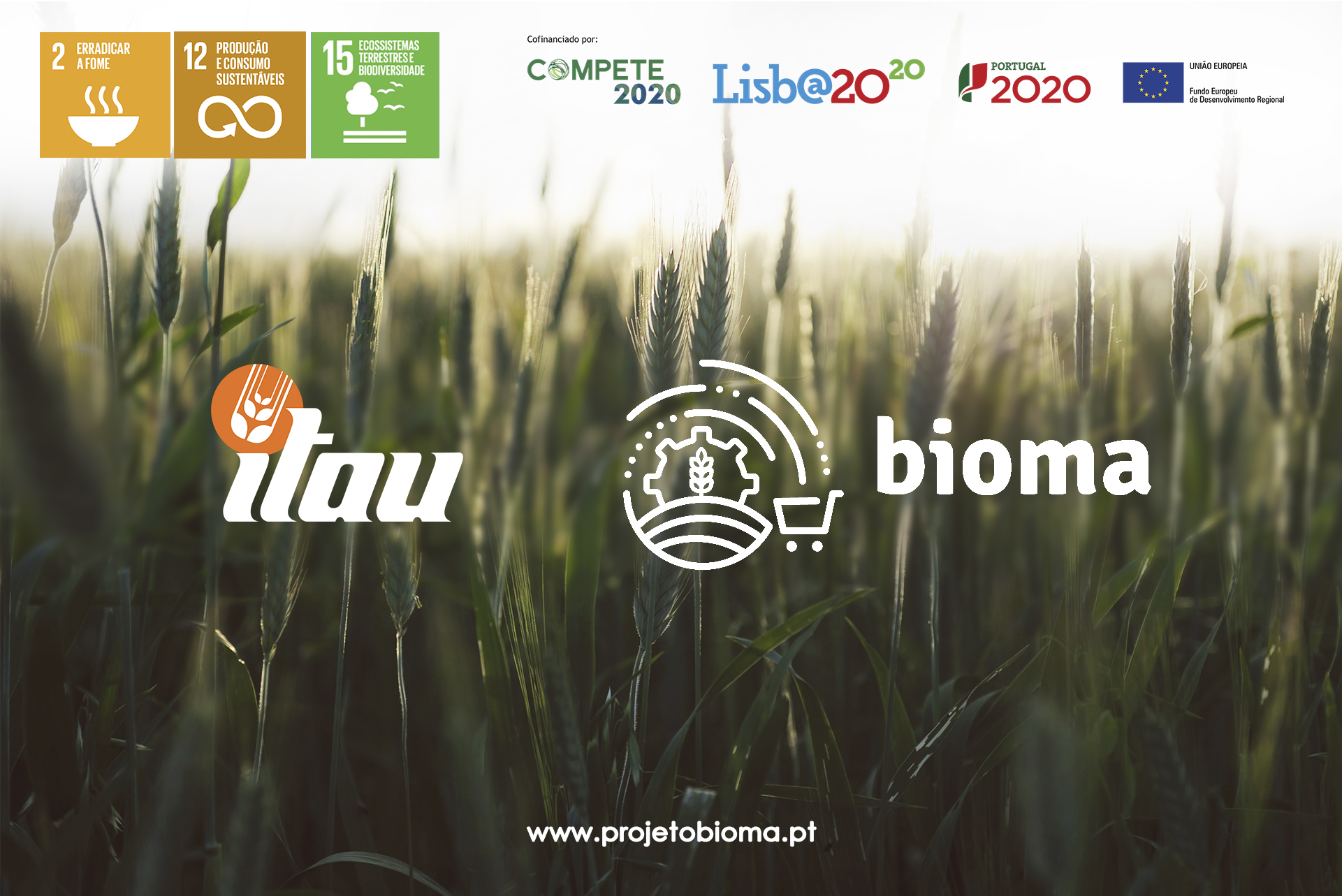 ITAU e o Projeto Bioma