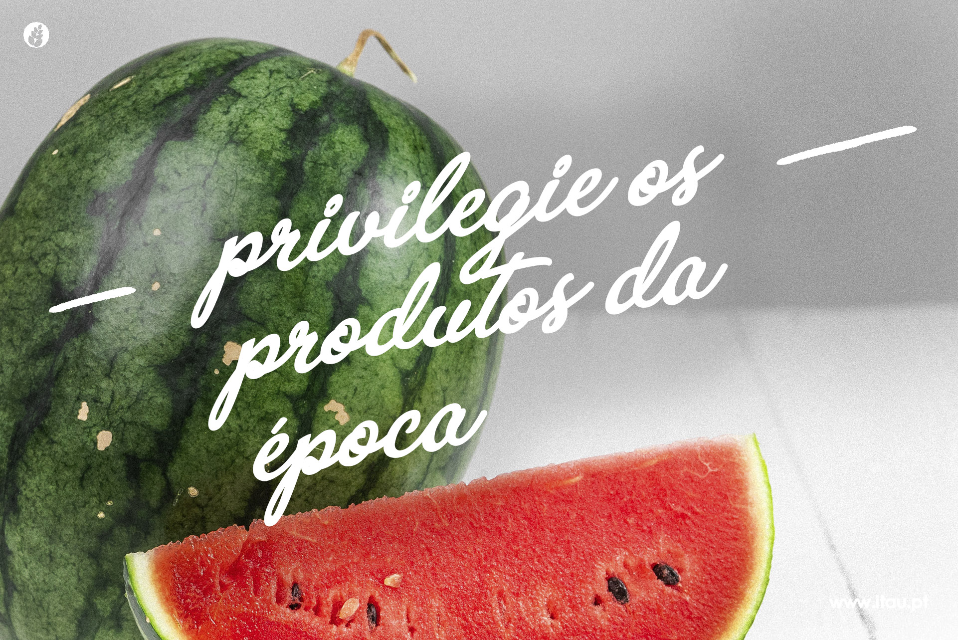 Privilegie os produtos da época – Melancia