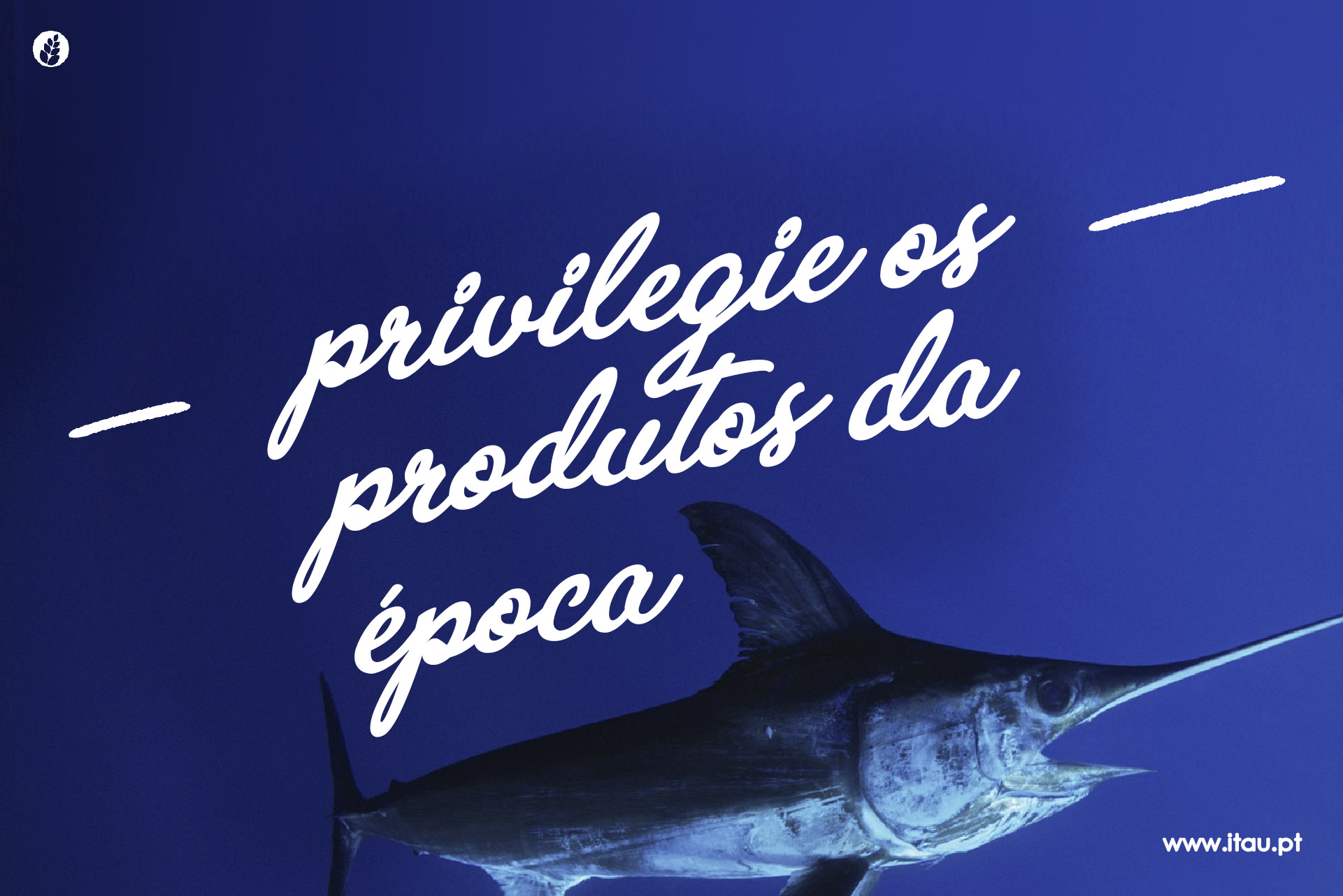 Privilegie os produtos da época – Peixe Espada