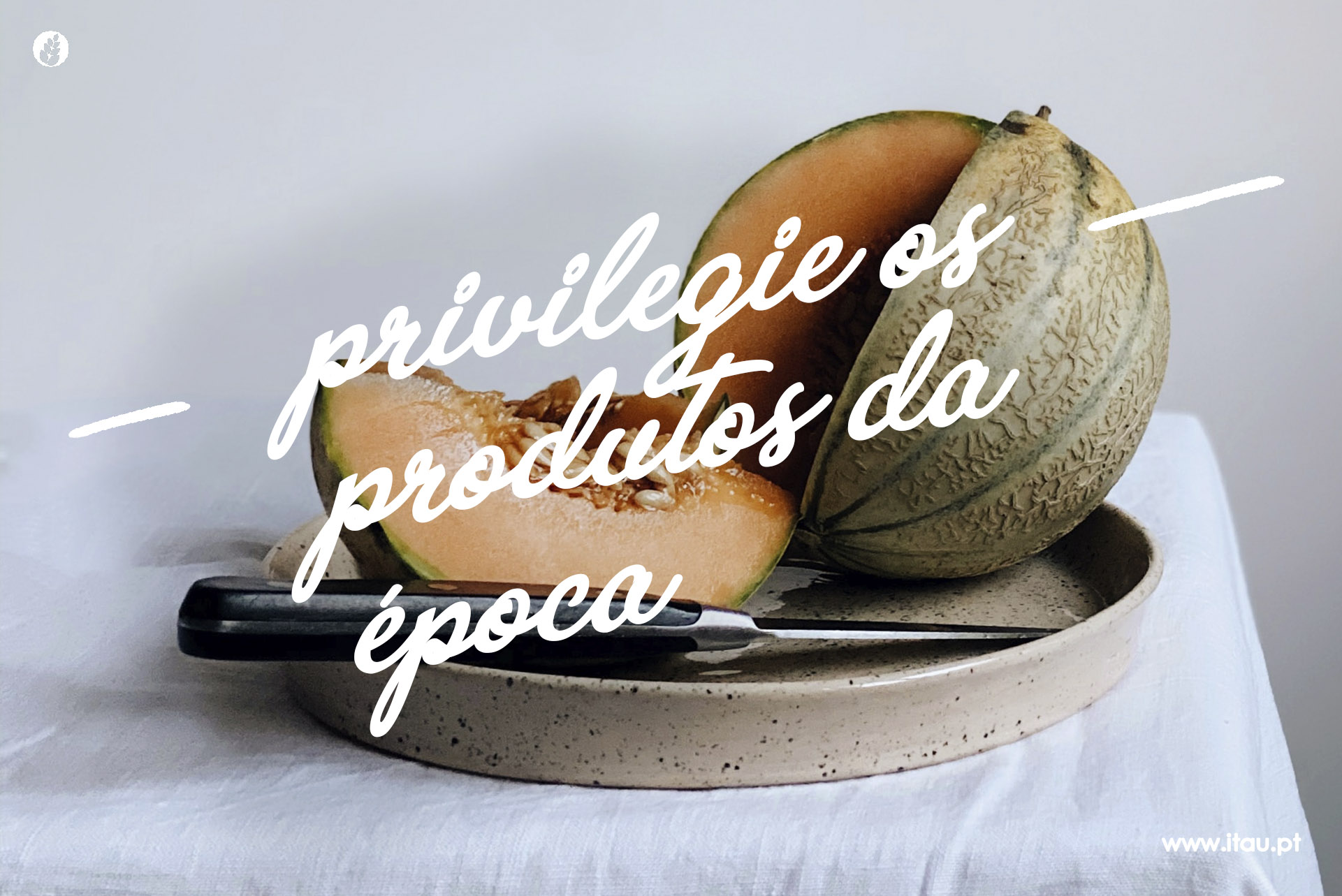Privilegie os produtos da época – Meloa