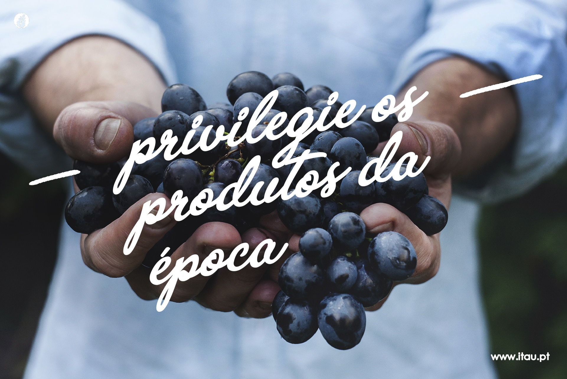 Privilegie os produtos da época – Uva