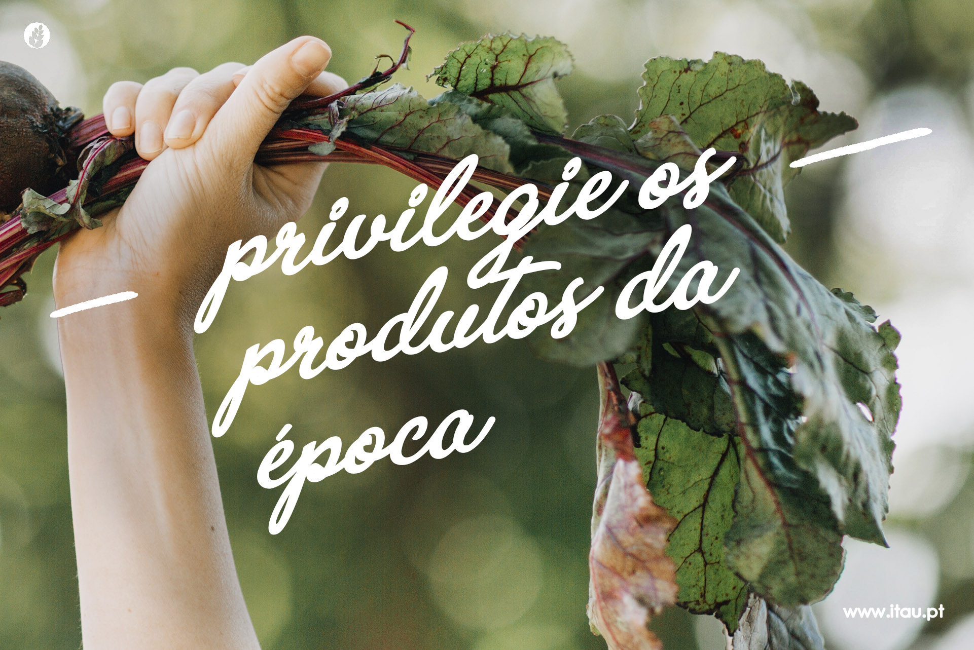 Privilegie os produtos da época – Nabiças