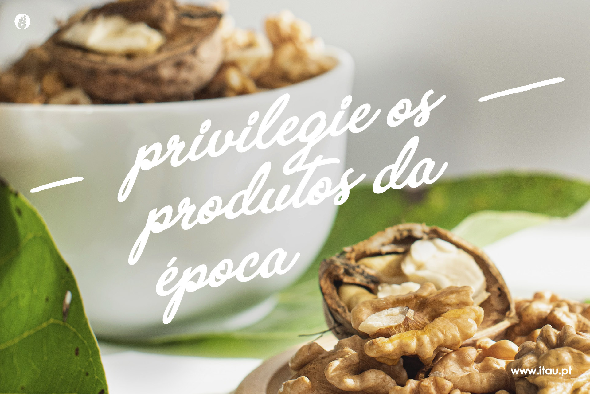 Privilegie os produtos da época – Nozes