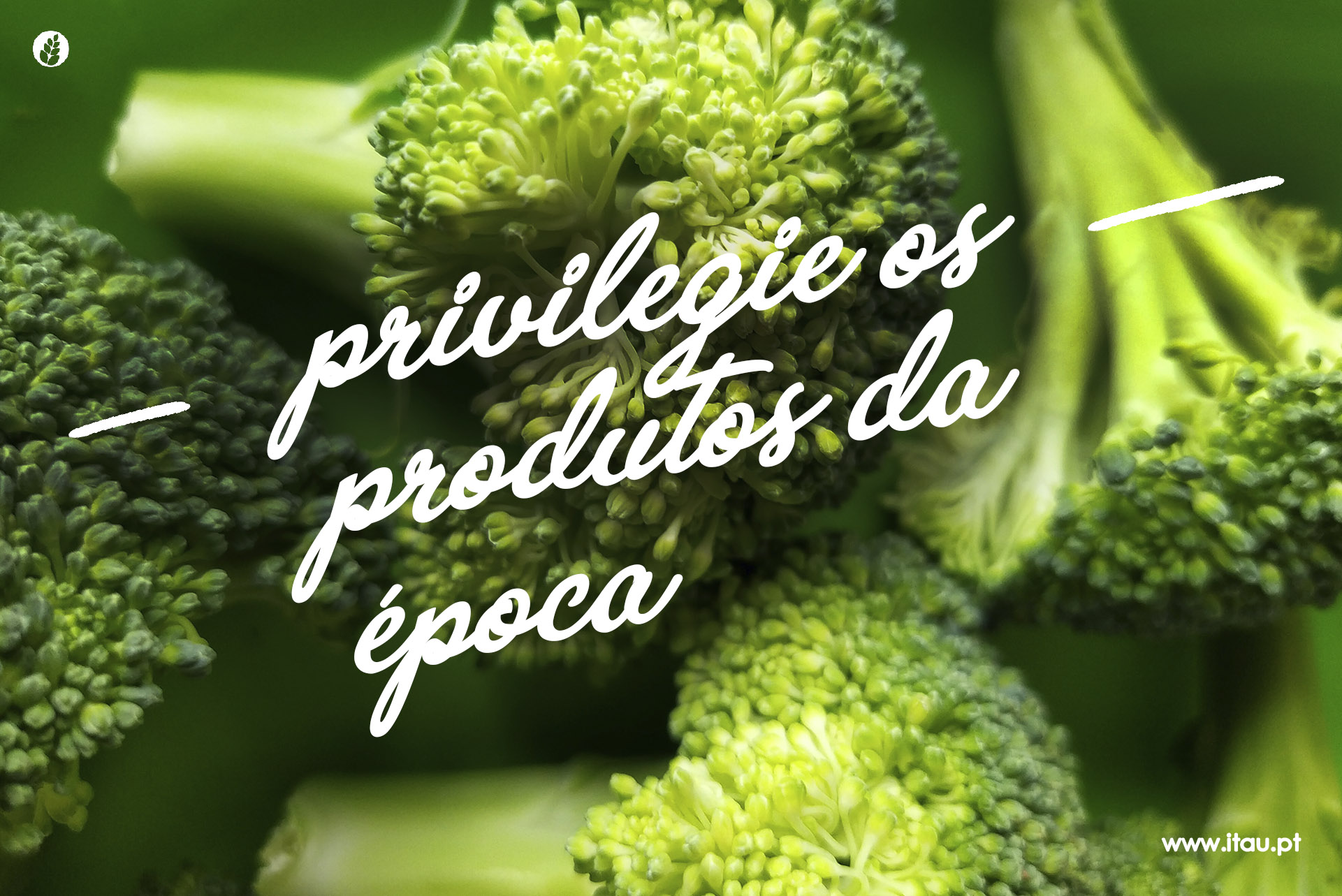 Privilegie os produtos da época – Brócolos