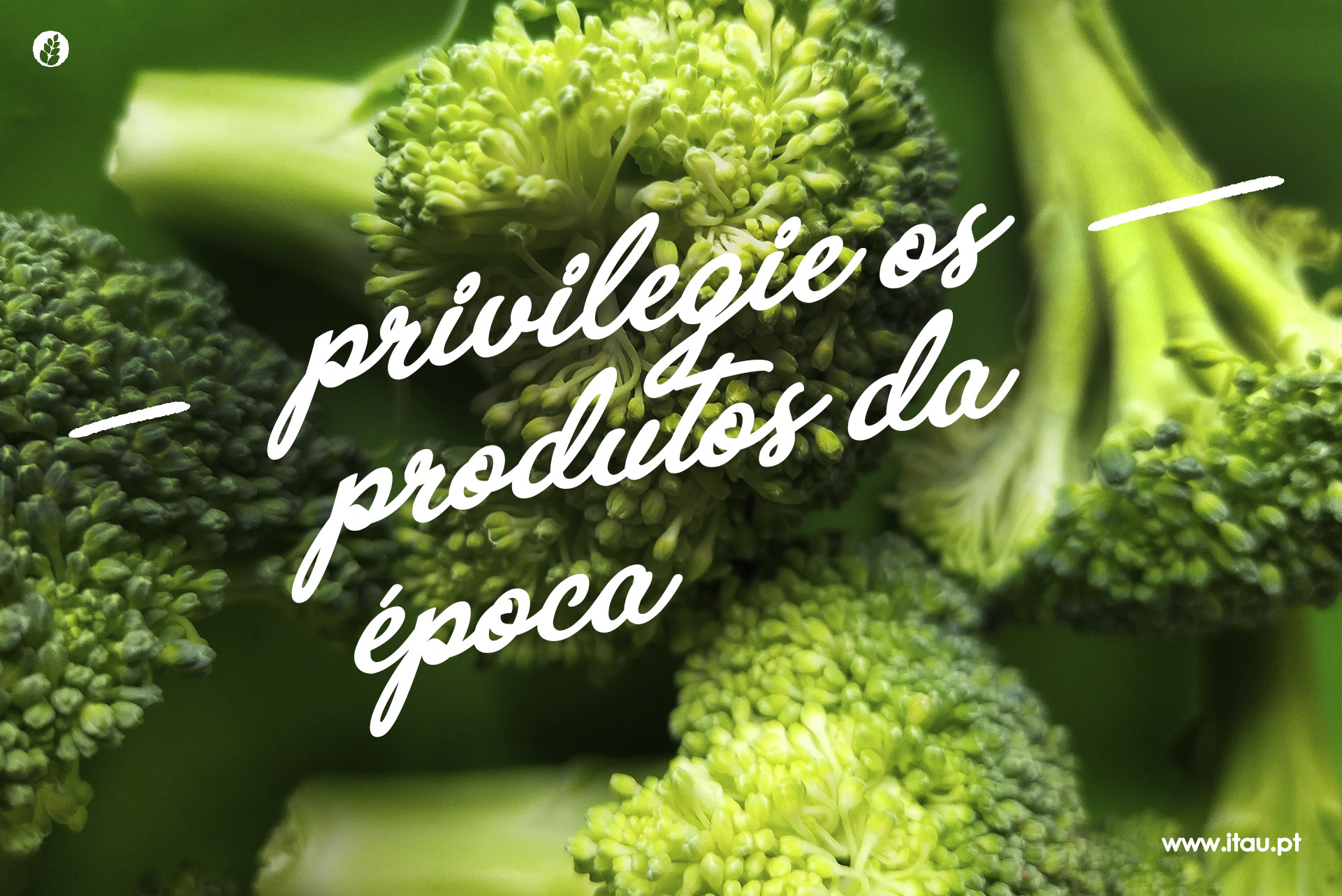 Privilegie os produtos da época