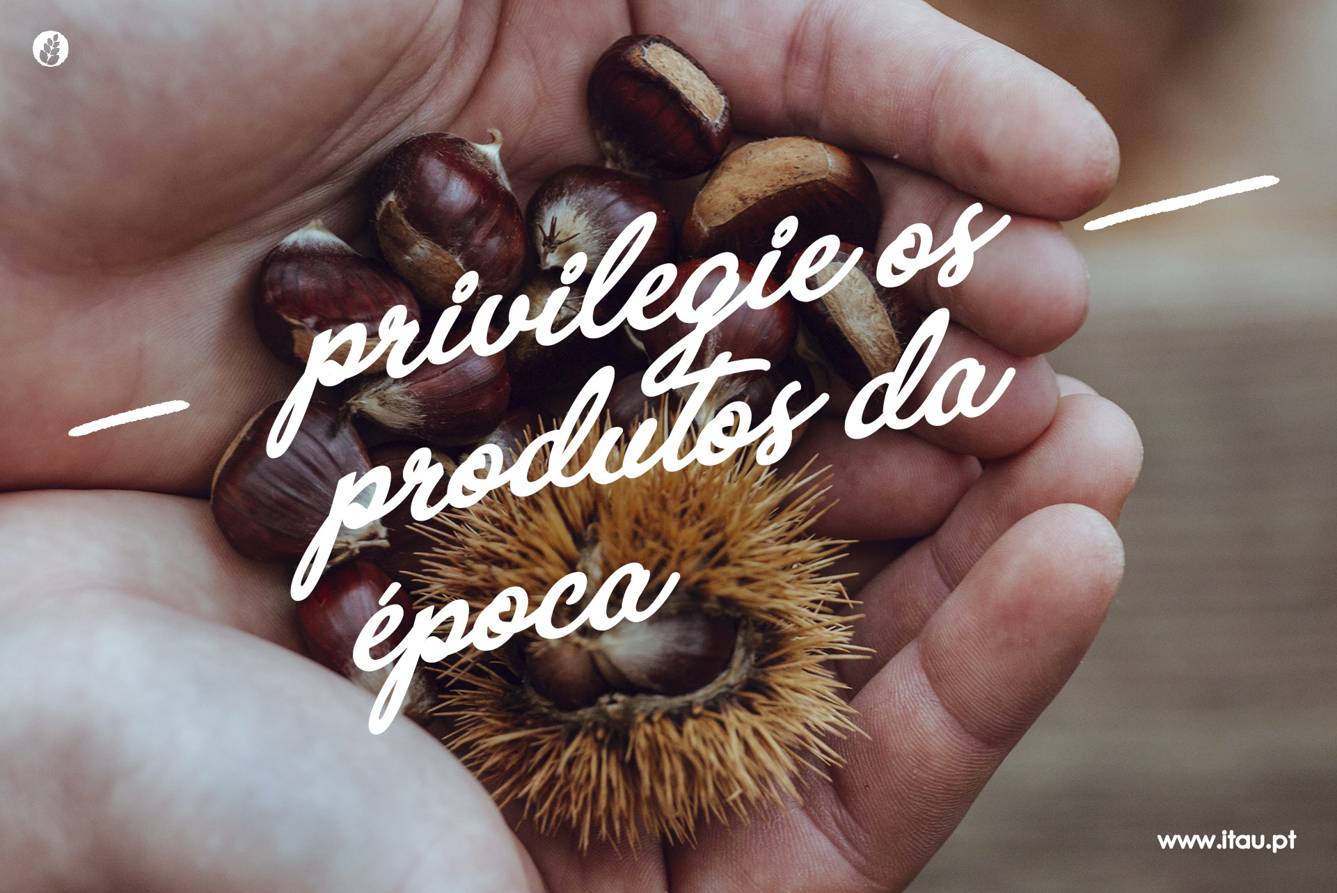 Privilegie os produtos da época – Castanha