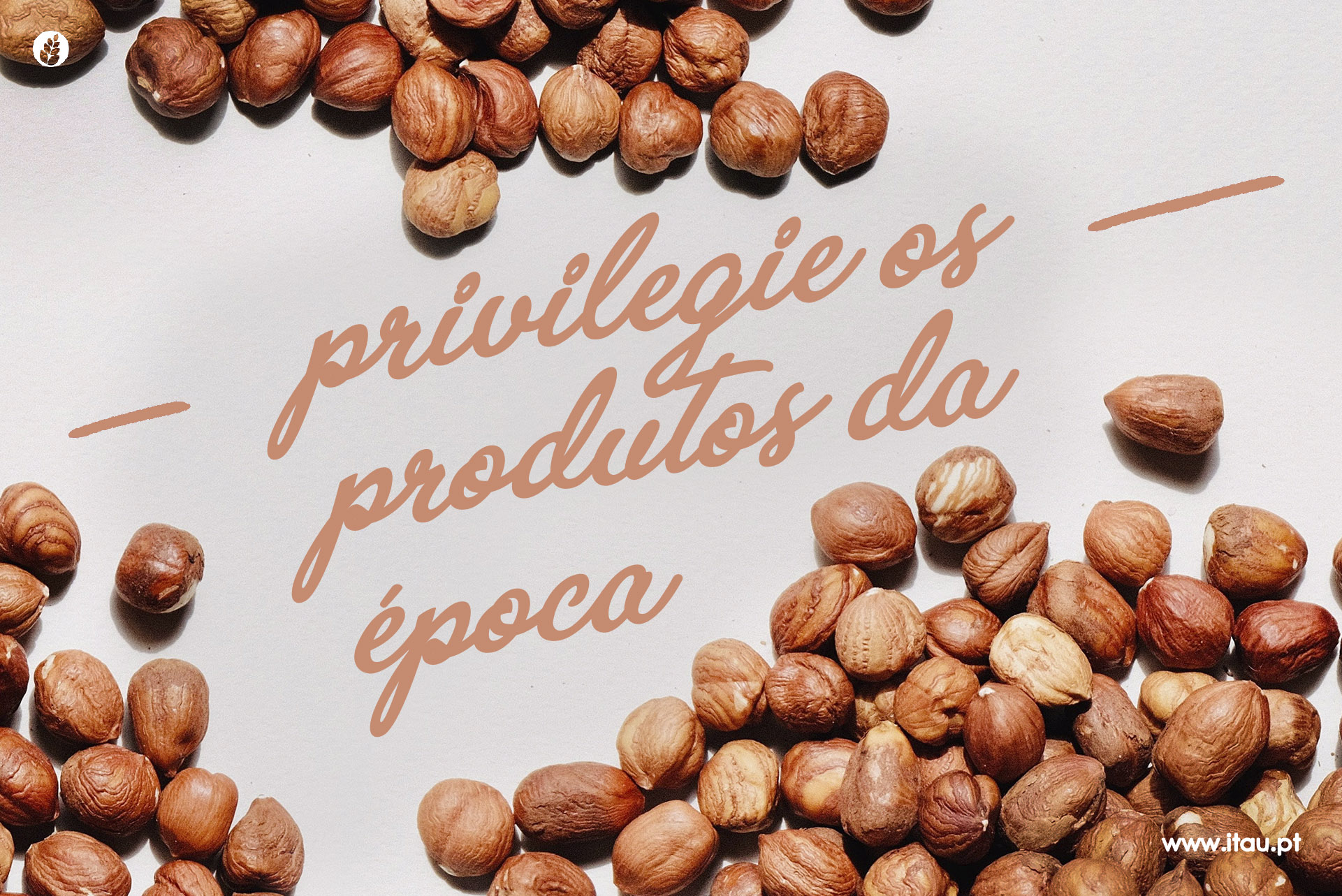 Privilegie os produtos da época – Avelã