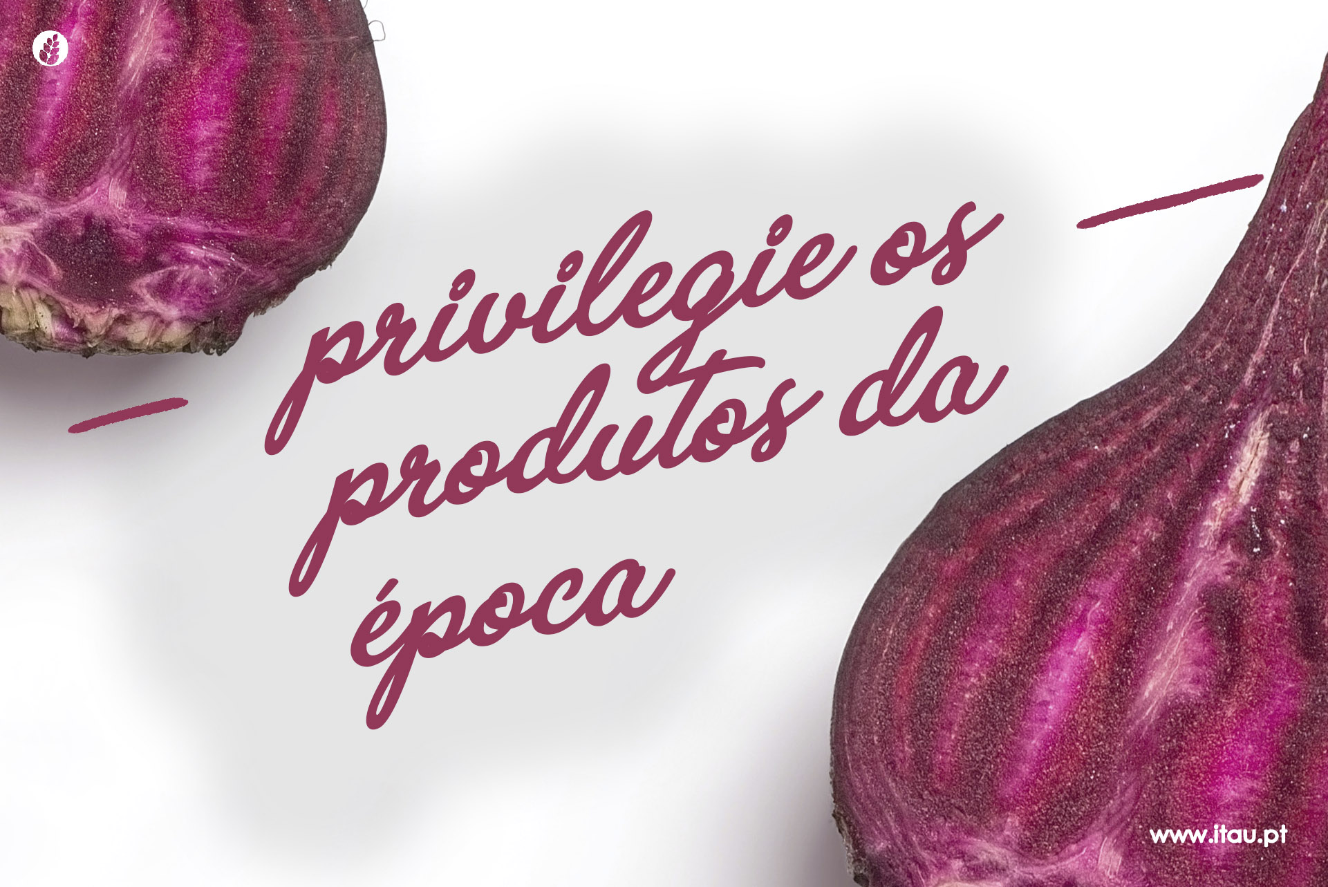 Privilegie os produtos da época – Beterraba