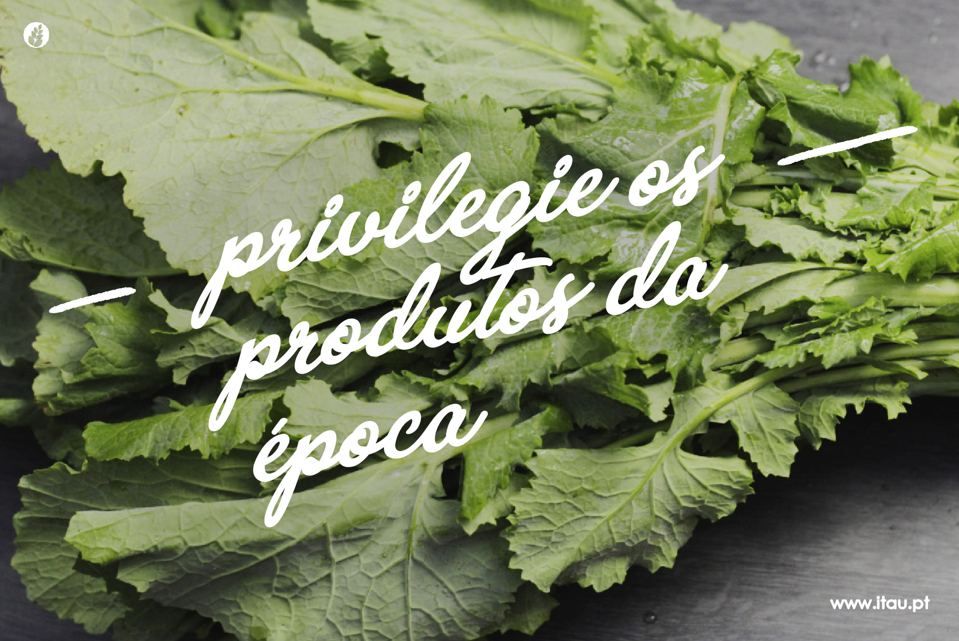 Privilegie os produtos da época – Grelos