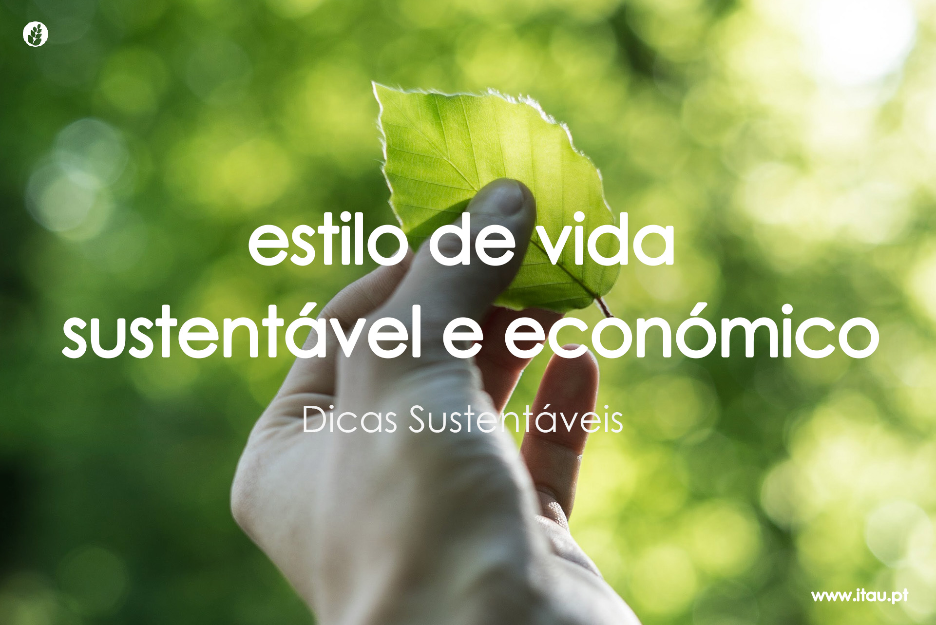 Estilo de Vida Sustentável e Económico