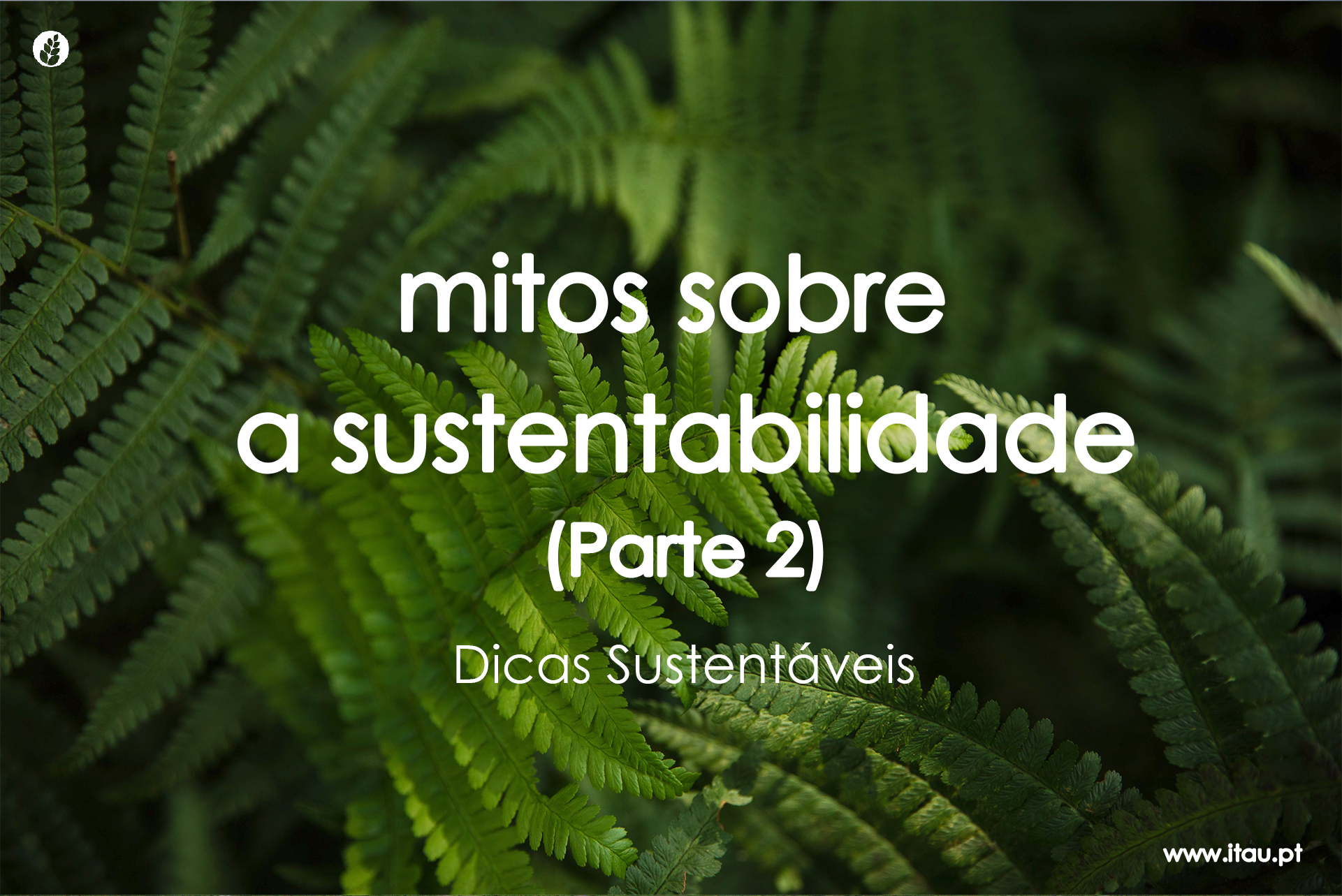 Mitos sobre sustentabilidade (Parte 2)