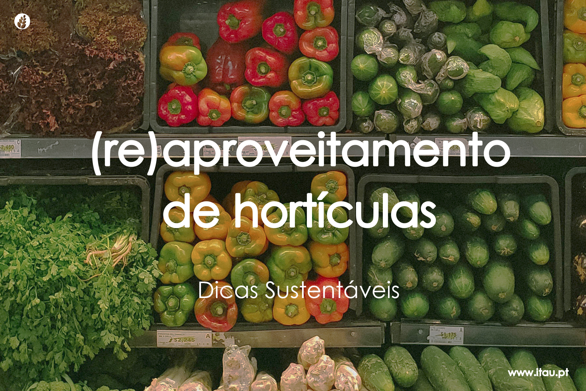 (re)aproveitamento de hortícolas